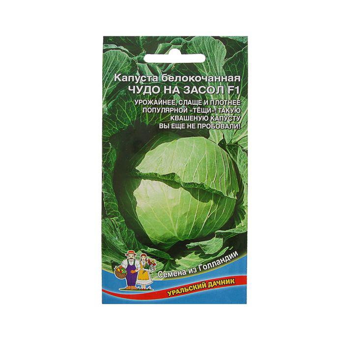 Капуста описание сорта фото отзывы. Капуста б/к чудо на засол f1. Капуста чудо на засол f1. Капуста Уральский Дачник. Семена капусты чудо.