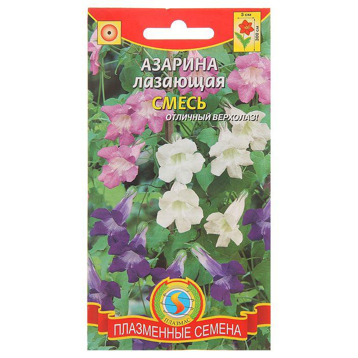 Азарина Семена Купить