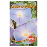 Семена цветов Ипомея "Небесно-голубая", О, 5шт. 