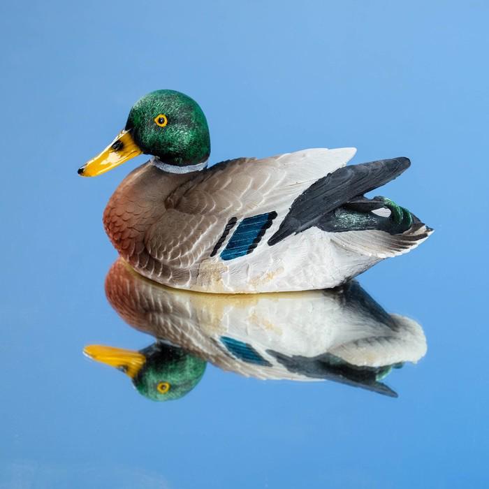 утка 12. пазл "утёнок", 12 элементов. огонек утенок 12 см. керамические утки. чучело утка широконоска.