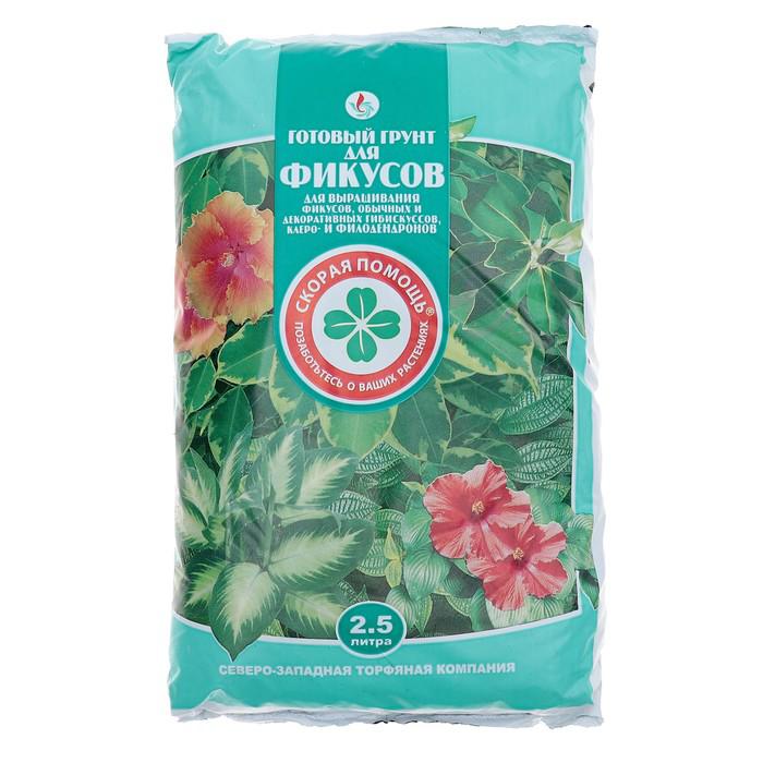 Какая почва нужна для фикуса. Грунт фикус 2,5л Planterra. Planterra - для фикусов, 2,5л", почвогрунт. Почва для фикуса. Грунт для фикусов и пальм.