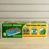 Гидропонная грядка, домашняя, «Чудо грядка»  - фото 5