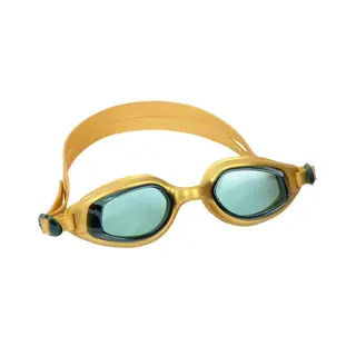 Очки для плавания Bestway Accelera 14+ (21033)