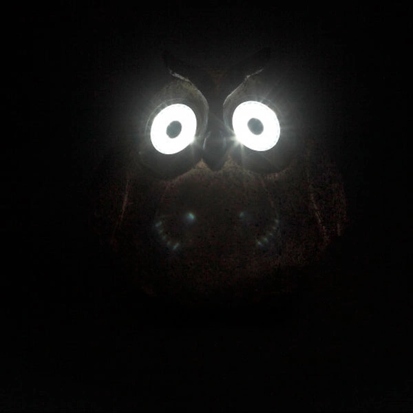 Садовый светильник ЭРА ERAFYS01-08 - фото 2