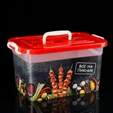 Контейнер пищевой 10 л "Все на пикник", цвет МИКС 