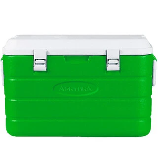 Изотермический контейнер Арктика 20 л (2000-20) Зеленый