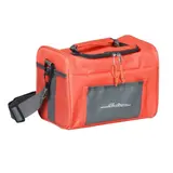 Термосумка, 6 л, 24 х 18 х 17 см 