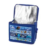 Термосумка с аккумулятором холода «Холодометр», 16 л 