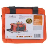 Термосумка, 12 л, 30 х 21 х 21 см 