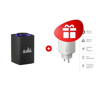 Жиынтық Умная колонка Яндекс Станция Макс с Zigbee Черный YNDX-00053K + Умная розетка Яндекс Matter (YNDX-00540WHT) 