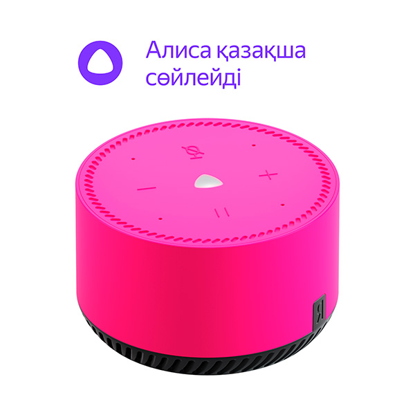 Яндекс smart бағанасы Станция Лайт YNDX-00025 Pink