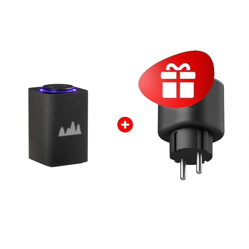 Жиынтық Yandex Макс YNDX-00053GRA Graphite с Zigbee + Яндекс Matter (YNDX-00540BLK) 