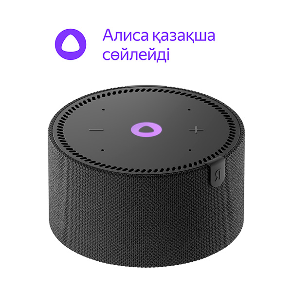 Яндекс smart бағанасы Мини YNDX-00021 Black