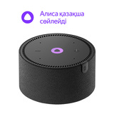 Яндекс smart бағанасы Мини YNDX-00021 Black