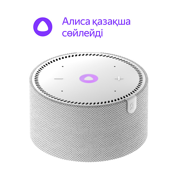 Яндекс smart бағанасы Мини YNDX-00021 Gray
