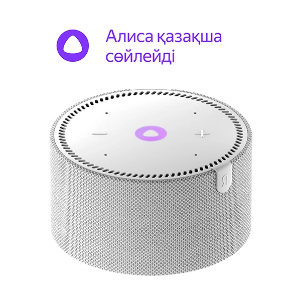 Smart колонка Яндекс Мини Gray (YNDX-00021)