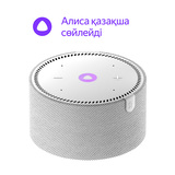 Smart колонка Яндекс Мини Gray (YNDX-00021)