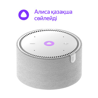 Smart колонка Яндекс Мини Gray (YNDX-00021)