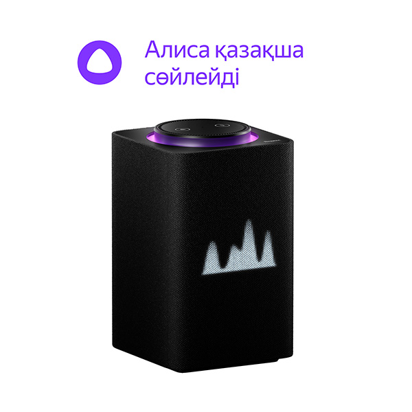 Умная колонка Яндекс Макс с Zigbee Black (YNDX-00052) в Алматы - цены ...