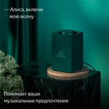 Умная колонка Яндекс Станция Макс с Zigbee Зеленый YNDX-00053Z - фото 10