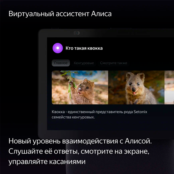 Умная колонка Яндекс Макс Дуо YNDX-00055BLK в Алматы - цены, купить в ...