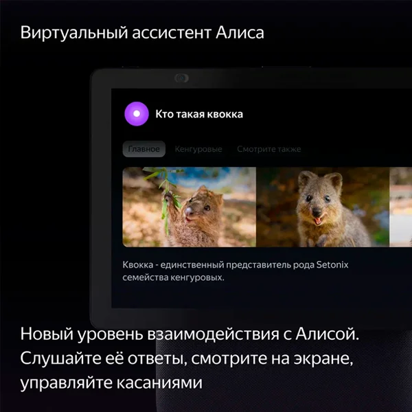 Умная колонка Яндекс Станция Дуо Макс с Zigbee Красный YNDX-00055RED - фото 12