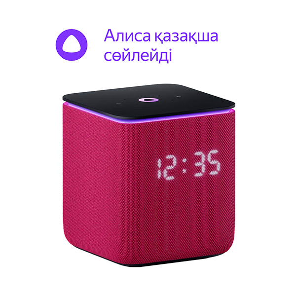Умная колонка Яндекс Миди YNDX-00054PNK Pink