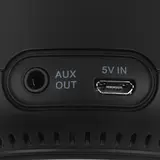 Smart колонки Irbis A Умный домашний помощник с Алисой Black (A01) - фото 2