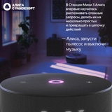 Яндекс ақылды бағанасы Мини 3 YNDX-00027BLK Black - фото 11