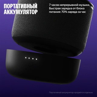 Яндекс Станция Мини 3 Про, модель YNDX-00059 Черный YNDX-00059BLK - фото 6