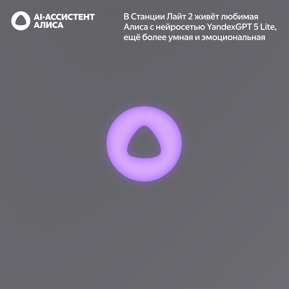 Умная колонка Яндекс Станция Лайт 2 Graphite (YNDX-00026GRY) - фото 8