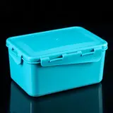 Контейнер универсальный прямоугольный 2,5 л "Винтаж", цвет МИКС 