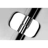 Душевая дверь Radaway Torrenta DWJ 100 31920-01-01N - фото 6