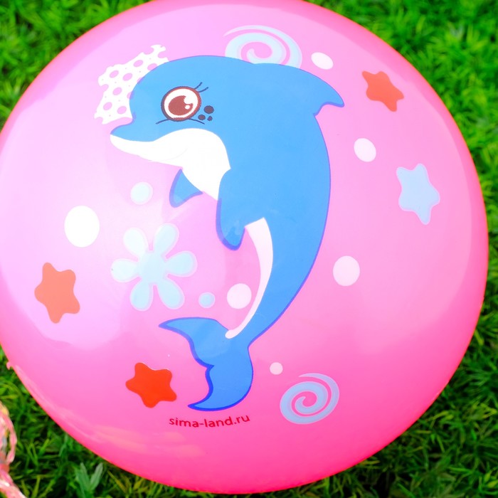 Игровой набор: скакалка, мяч детский "Дельфин", 22 см 