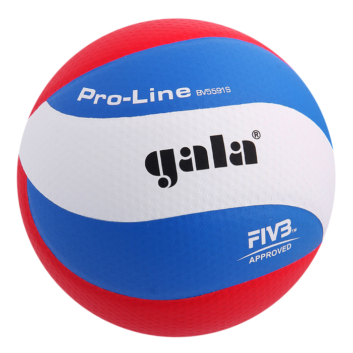 Мяч волейбольный Gala Pro-Line 10 FIVB, BV5591S, размер 5, клееный 