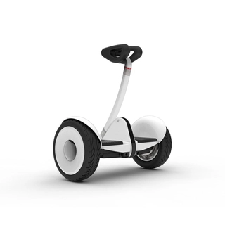 Электрический двухколесный гироскутер Ninebot S Белый N3M240