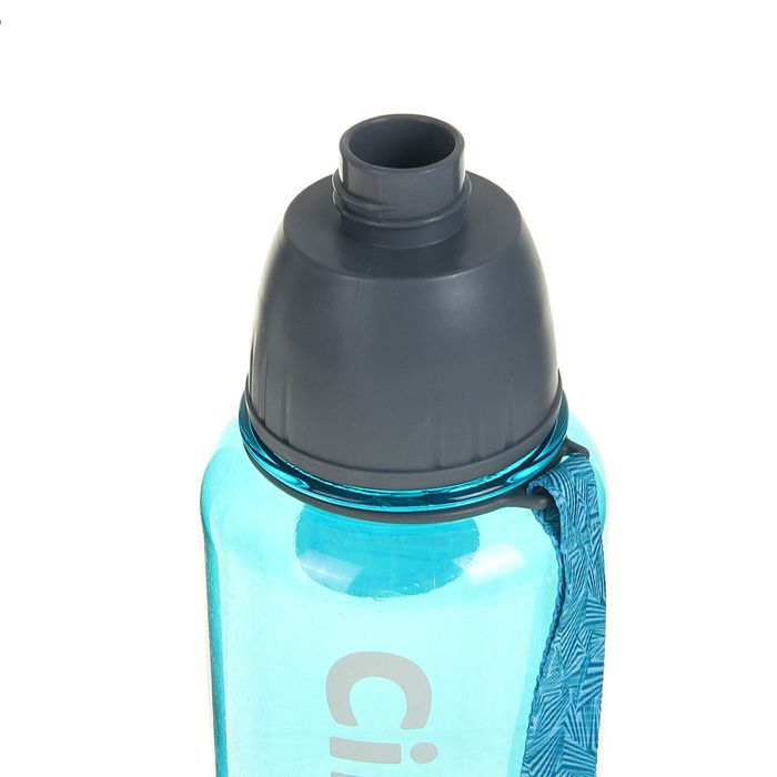 Бутылка для воды "Cille" с поильником в винтовой крышке, 900 мл, микс, 9х23 см 