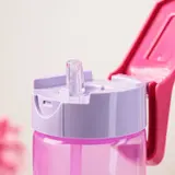 730 мл бөтелке "Актив", түстер қоспасы 