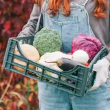 Ящик складной цвет МИКС