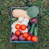 Ящик складной цвет МИКС - фото 2