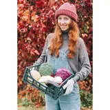 Ящик складной цвет МИКС - фото 3