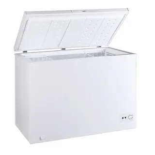 Морозильный ларь ARG ARC-300 (ACF-300)