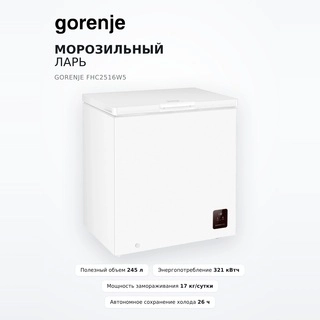 Морозильный ларь Gorenje FHC2516W5 - фото 5
