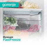 Морозильная камера Gorenje FN4171CW - фото 4