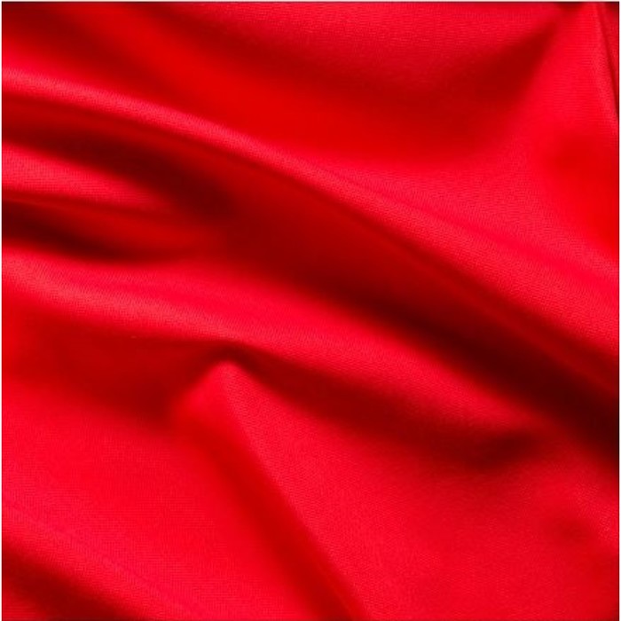 Гардины АННАЛУИЗА, размер 145х300 см, цвет красный 