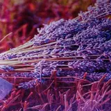 Ковер Этель "Лаванда" 45*120 см, велюр, поролон 400г/м2  - фото 2