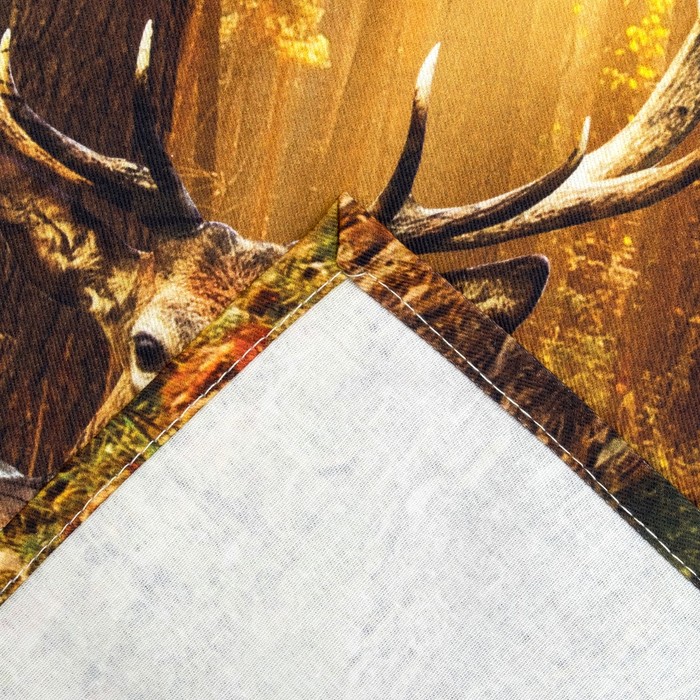 Полотенце «Этель: Лес», 40 × 67 см, хлопок 100 %, саржа, 190 г/м² 