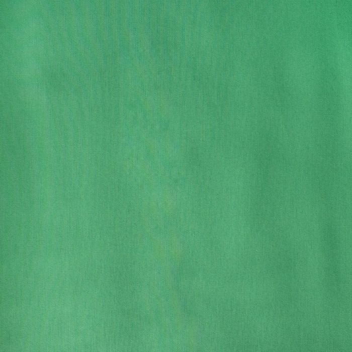 Постельное бельё "Этель" евро Тропики 200х217 см, 240х260 см, 50х70 см - 2 шт, мако-сатин 