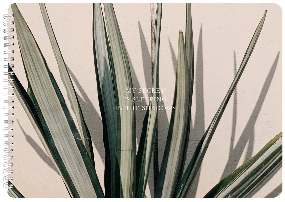 Альбом Be Smart N4786 A4 40 листов 