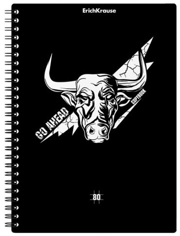 Общая тетрадь Erich Krause Тетрадь с пластиковой обложкой Go Аhead, Black and White, 80 л, А5, клетка, мягкая обложка, 1 шт 